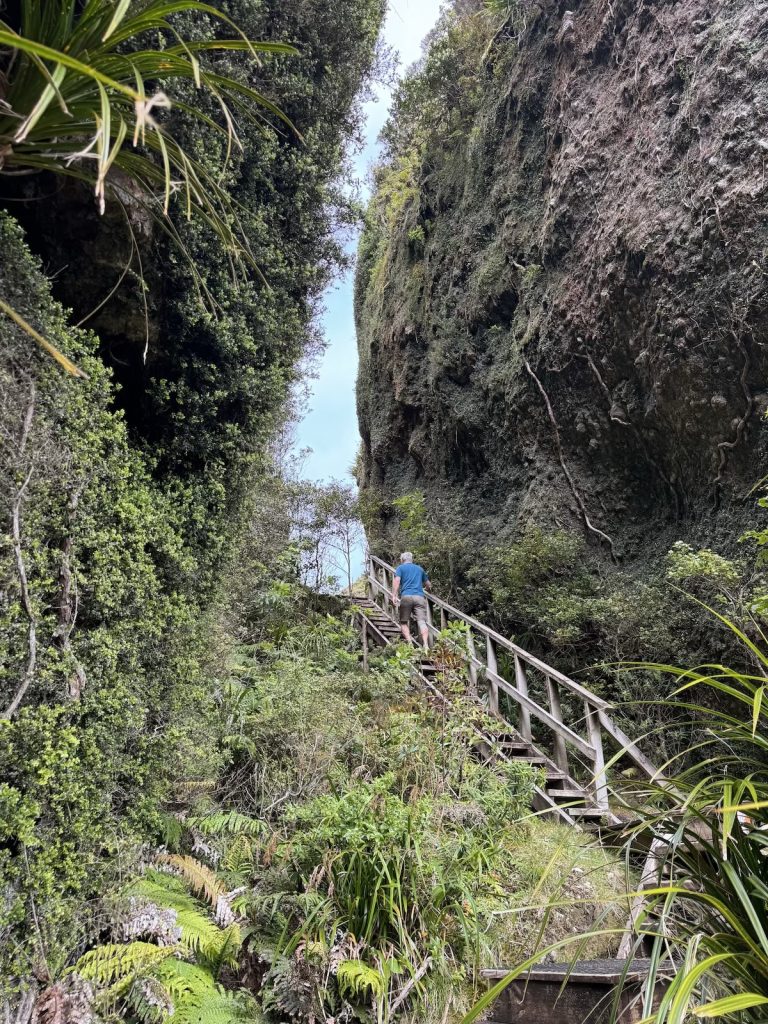 Walking the stairs up Windy Canyon on Aotea Great Barrier Island.