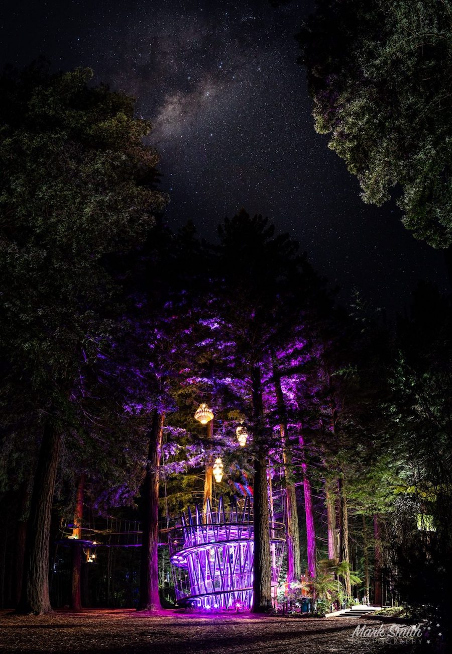 Trees graced with lavender lighting during the evening of Redwoods Night.